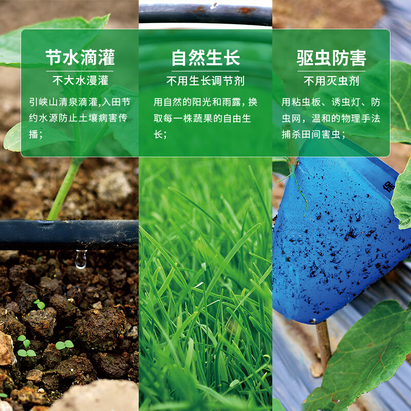 有机汇有机胡萝卜 生鲜蔬菜 有机种植无农残 新茬带泥 宝宝婴儿辅食 3斤装