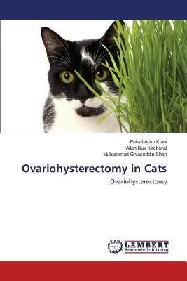 预订Ovariohysterectomy in Cats