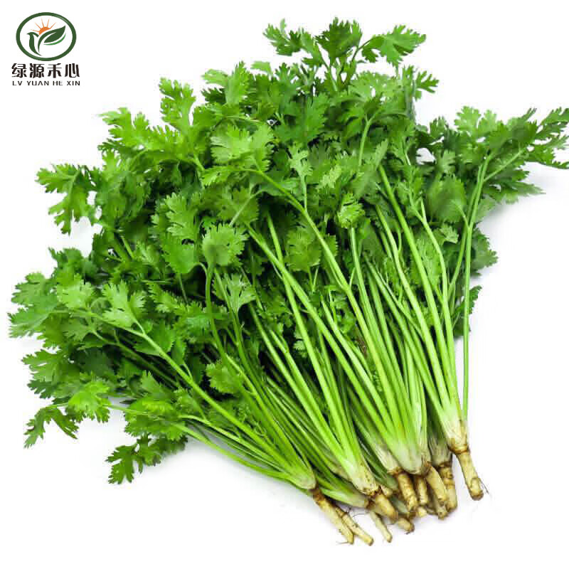 查看详情13绿源禾心 有机大蒜 新鲜蔬菜 约500g好评率:98%查看详情14