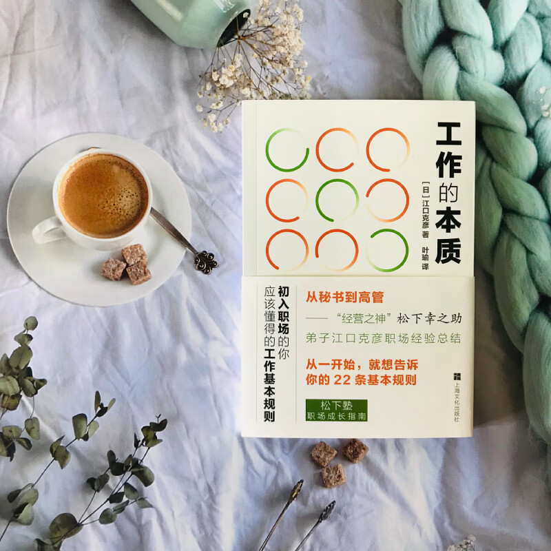 工作的本质：初入职场的你应该懂得的工作基本规则（从一开始，就想告诉你的22条基本规则）