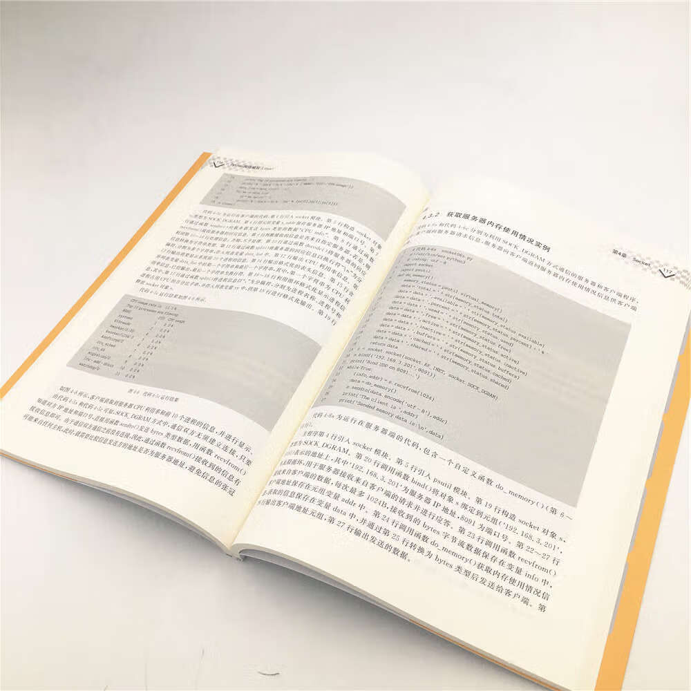 Python网络编程(Linux)（大数据与人工智能技术丛书）