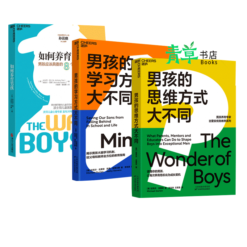 【湛庐】养育男孩系列全3册 如何养育男孩 男孩的学习方式大不同 男孩的思维方式大不同 家庭教养