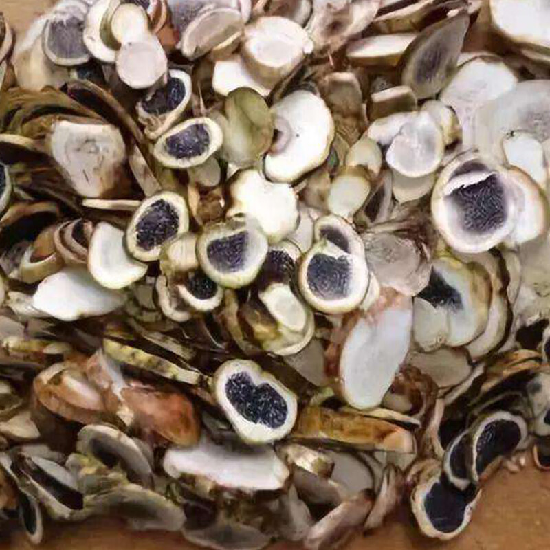 禾澹年云南保山 新鲜食用菌马皮泡菌菇应季蔬菜香菇菌 马皮泡菌 500g