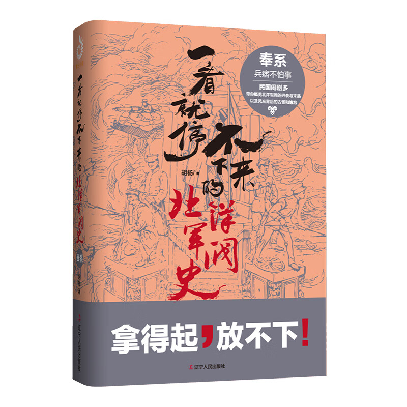 一看就停不下来的北洋军阀史(奉系)