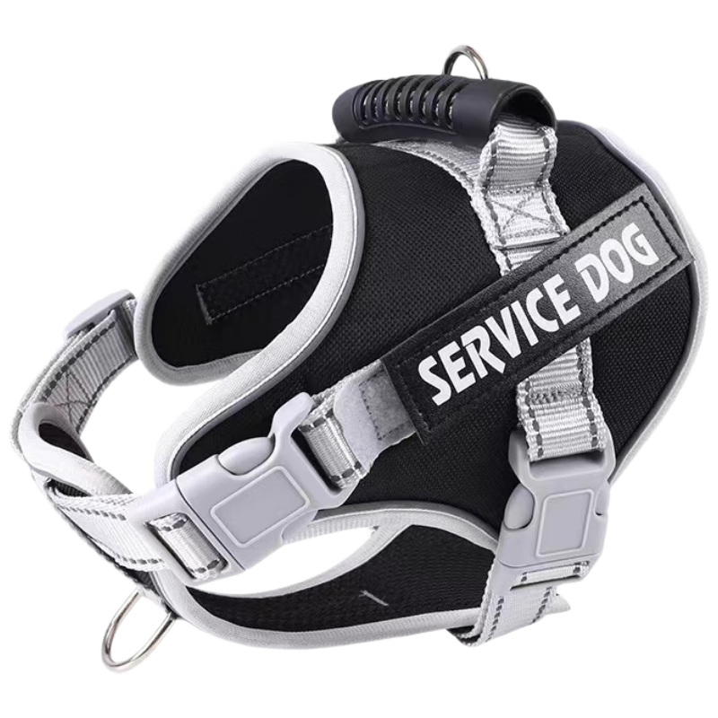 ���ڲ�������С���������ر���ǣ������װ����ʽ�޹����������ʲ�����С��Ȯ��S 33.78Ԫ