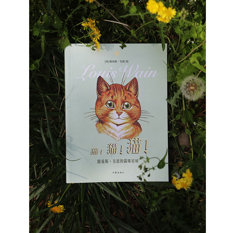 猫猫猫作家美绘馆