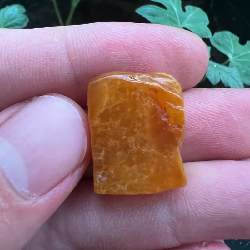 福建寿山田黄石寿山田黄冻石寿山品种田寿山开门田寿山田黄冻原石