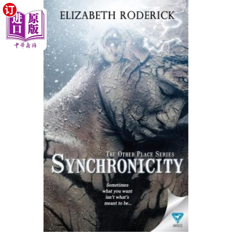 海外直订synchronicity 同步性