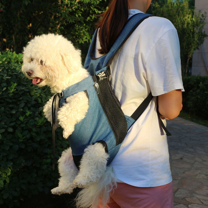 看看吐槽贝尼宠dogsbag2022猫包究竟如何呢？评价真的好吗