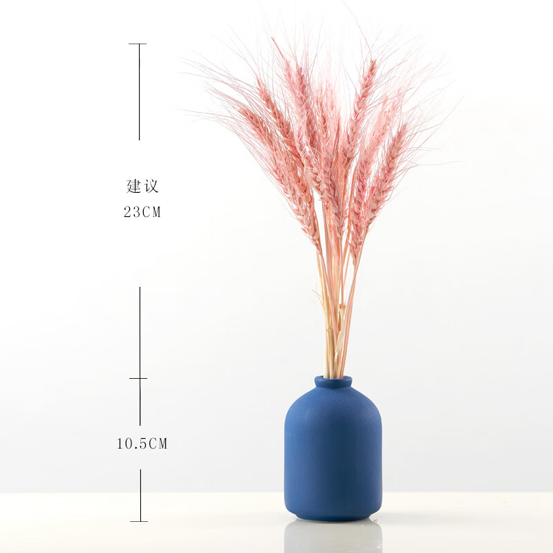 干花价格行情最新报价走势图|干花价格比较