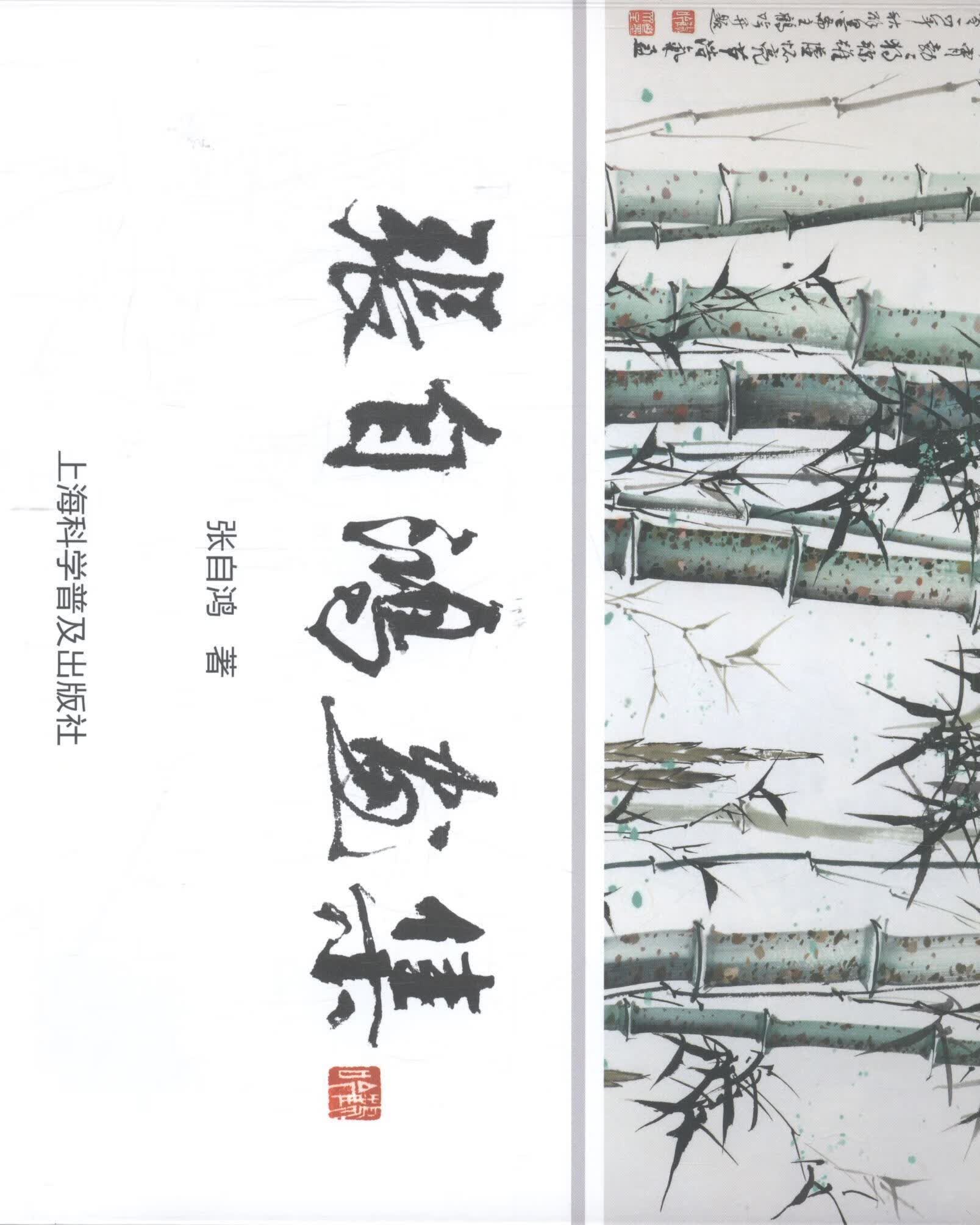 张自鸿画集 李镇西 科普读物 9787542766793