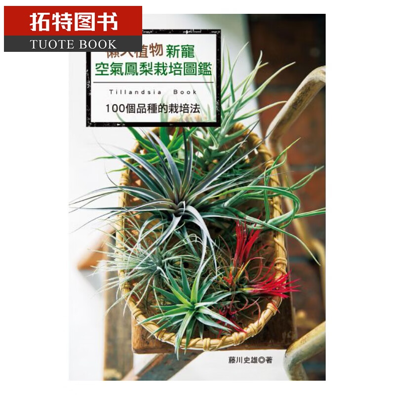 预售 懒人植物新宠 喷泉文化馆台版原版书籍