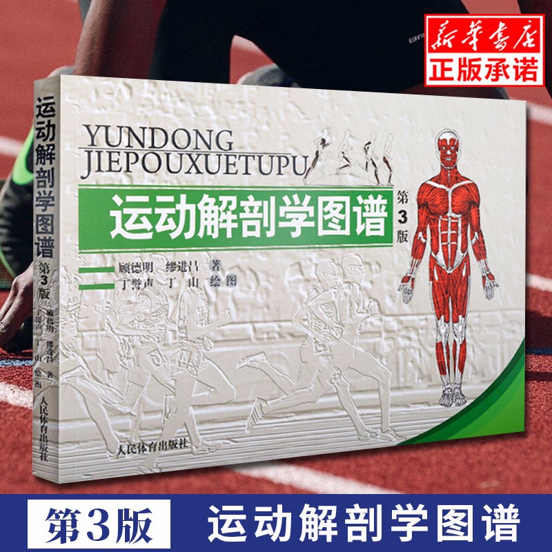 正版 运动解剖学图谱修订第3版 人体解剖医学图解书 适能健身运动生理学医运动训练学人体彩色图谱肌肉