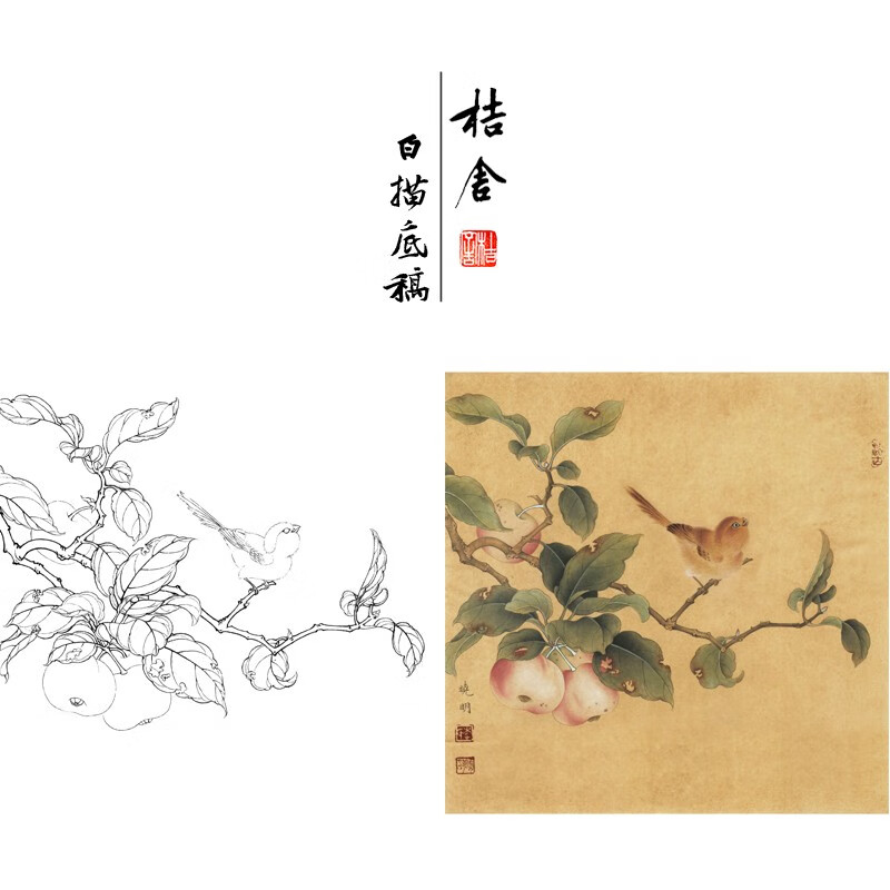 桔舍李晓明工笔画白描底稿山雀沙果树方形小品原大35*35厘米宋画线稿