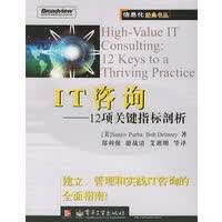 IT咨询12项关键指标剖析 普帕