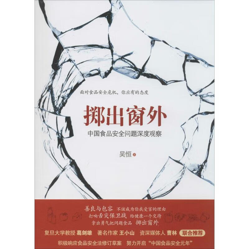 掷出窗外 吴恒 书籍