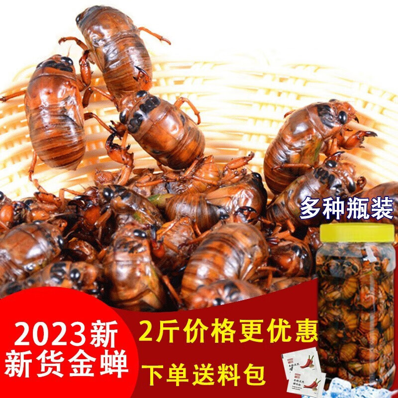 肉禽菜肴怎么查询历史价格|肉禽菜肴价格比较