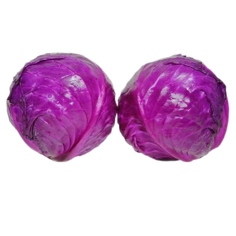 京地達(dá)山東新鮮紫甘藍(lán)凈重5斤裝 單果重450g+新鮮蔬菜 源頭直發(fā)包郵