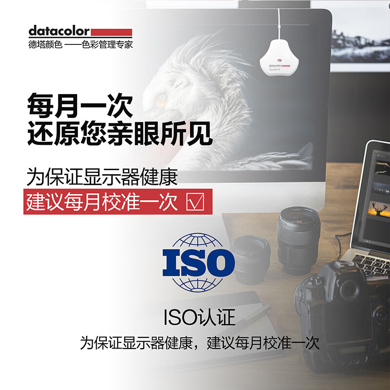 Datacolor SpyderX 蓝蜘蛛校色仪 笔记本电脑液晶屏显示器电竞曲面IPS屏SRGB色彩校准硬件校色偏色校正色准仪