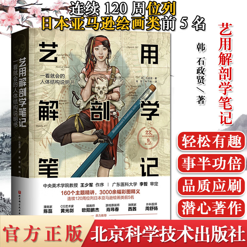 艺用解剖学笔记 艺术绘画理论人体结构素描教程 人体解剖参考书籍