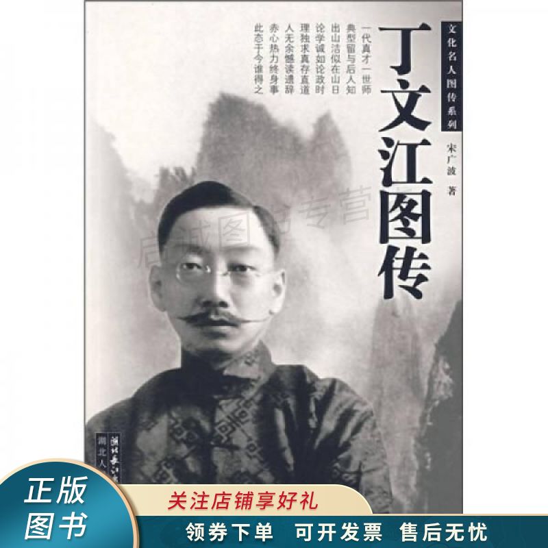 丁文江图传
