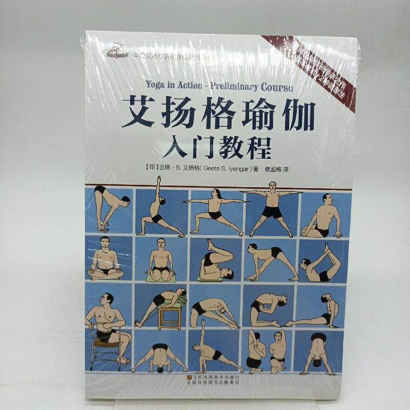 【正版】艾扬格瑜伽入门教程9787534444852江苏美术出版社