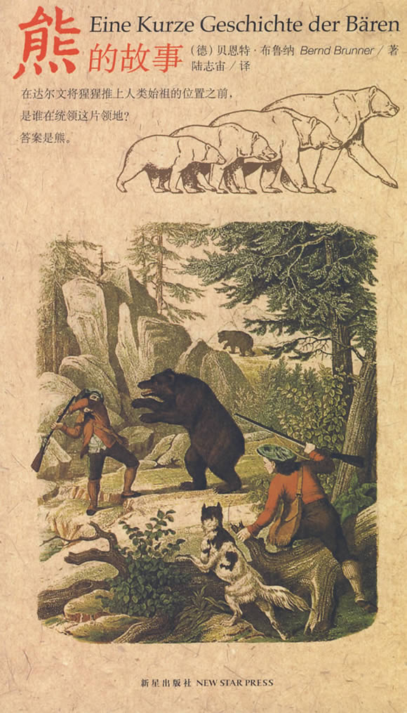 熊的故事  【稀缺图书,放心购买】