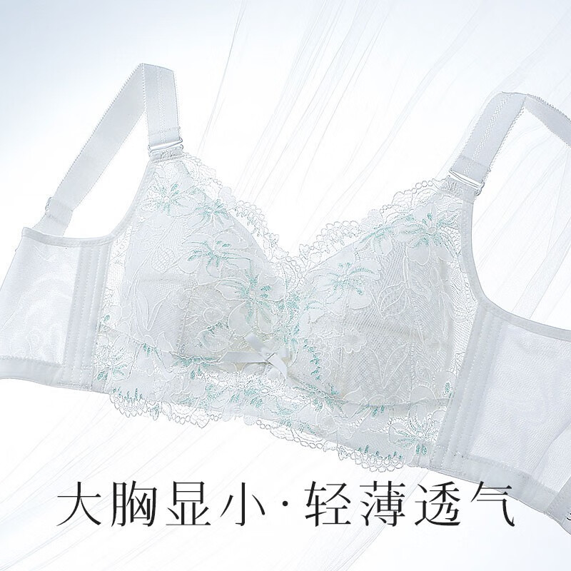 什么软件可以看京东文胸价格趋势|文胸价格历史