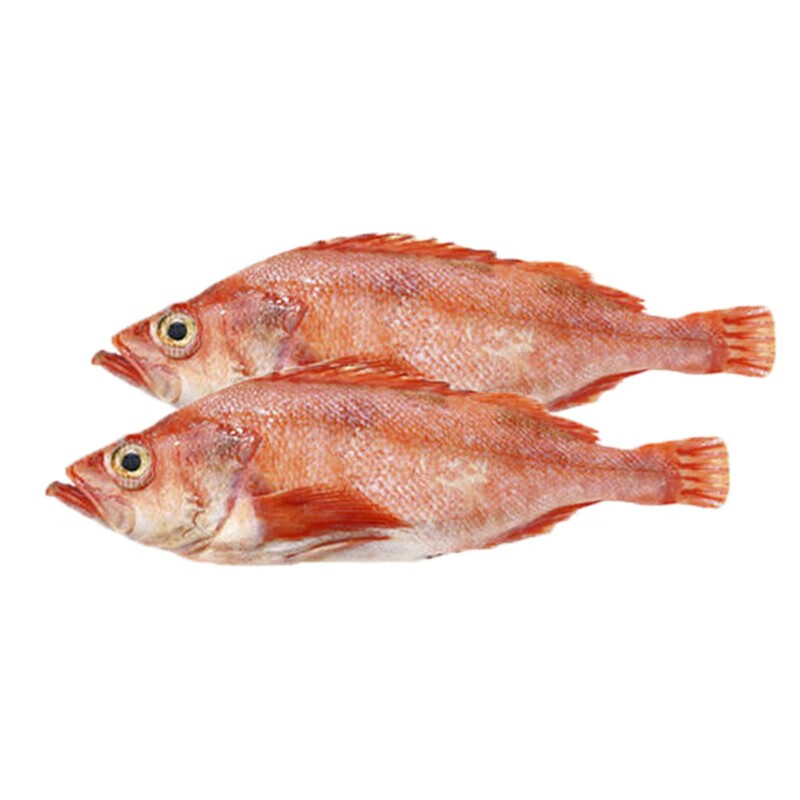 欧盈海鲜精选 红鱼 750g