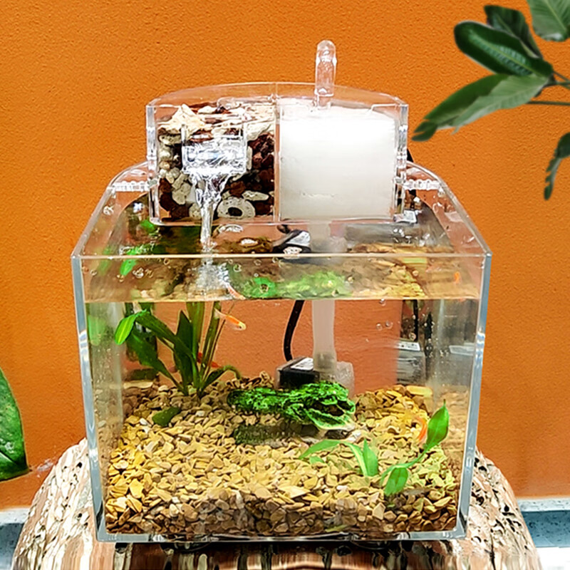 上手剖析松宝小型鱼缸鱼缸水族箱质量怎么样，分享一个月心得分享