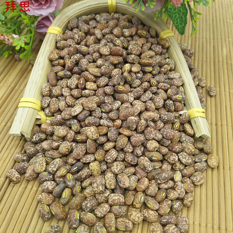 俏滋郎麻豇豆新货农家自产500g江豆梨花豆花豇豆五谷杂粮煮粥稀饭 煮