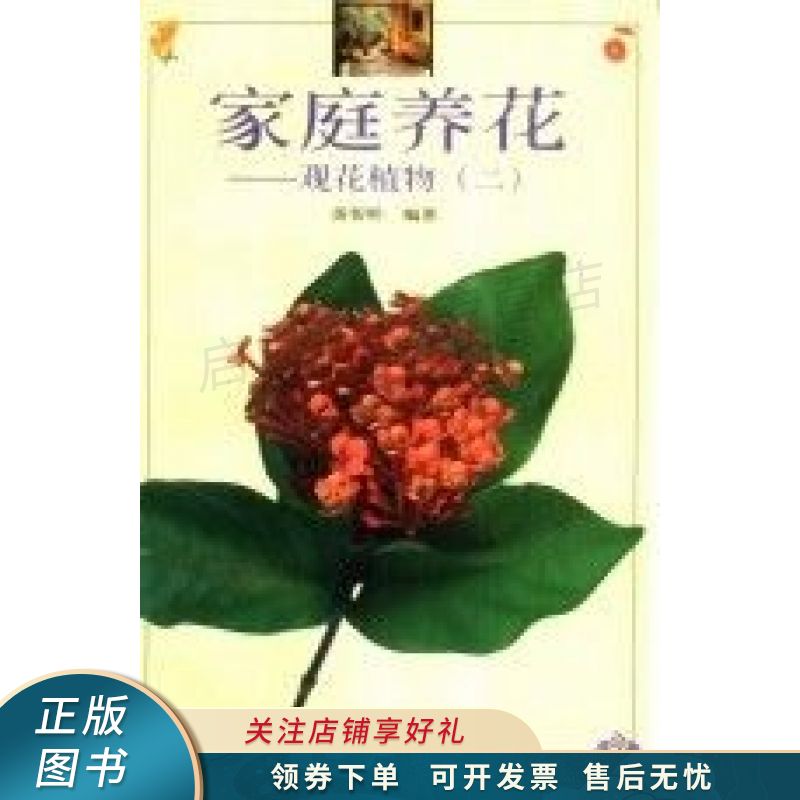 家庭养花--观花植物二 黄智明