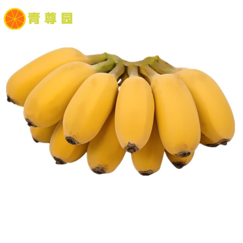 青尊园广西小米蕉新鲜香蕉自然熟超甜皇帝蕉小香芭蕉当季水果 优选装9