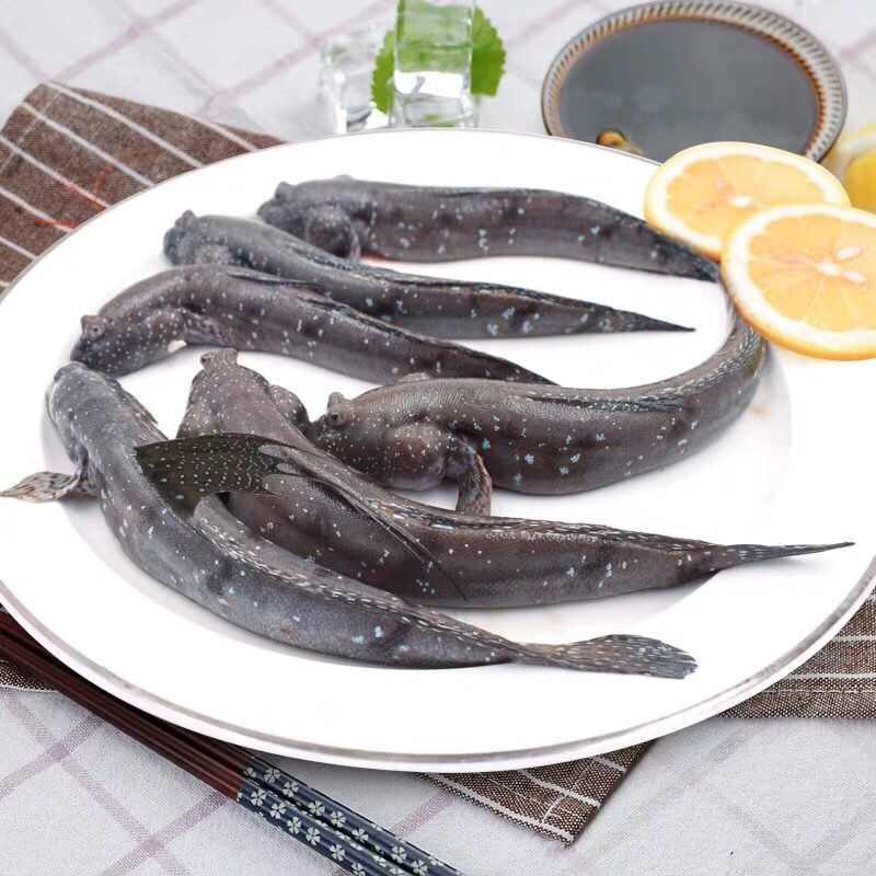 源外园 跳跳鱼弹涂鱼滩涂鱼东海鲜活速冻海鲜水产海鱼鱼类 3斤装家庭