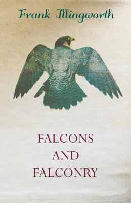 预订falcons and falconry