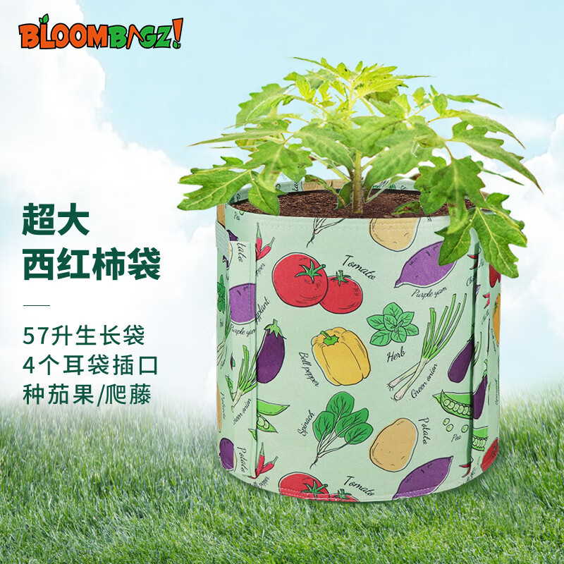 Bloombagz番茄种植袋爬藤植物生长袋种菜美植袋超大圆形软花盆57升蔬果绿