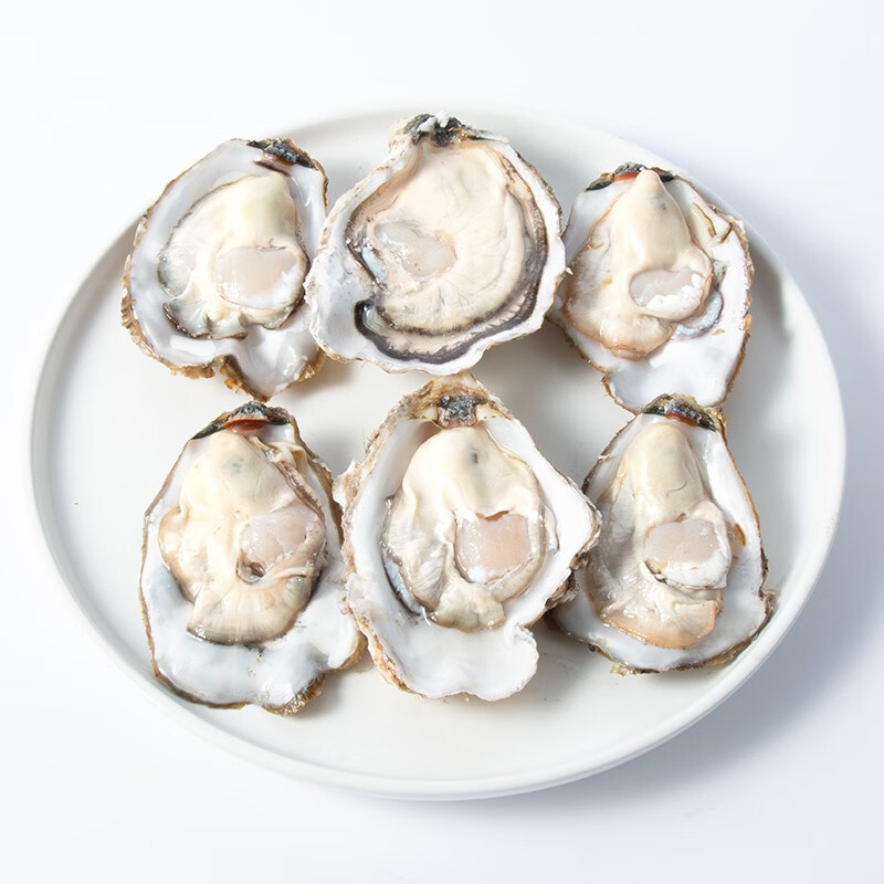 【空运直达】艚旺鲜汇 乳山生蚝海蛎鲜活牡蛎新鲜海蛎子生鲜 贝类