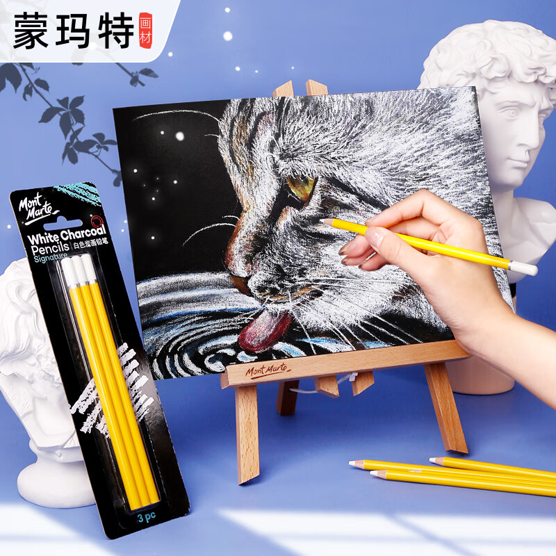 蒙玛特 素描炭笔白色3支装 美术炭画铅笔绘画速写写生高光笔 美术生专用画画加粗碳笔MPN0041C