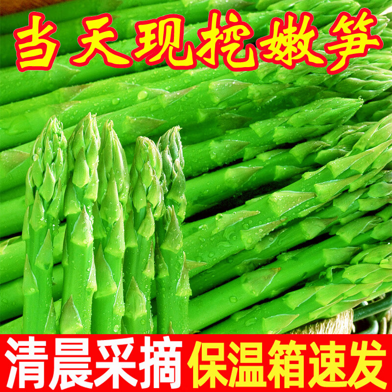 芦笋新鲜5斤山东产地现挖嫩笋当季农家蔬菜绿芦笋青笋春笋龙须菜 1斤