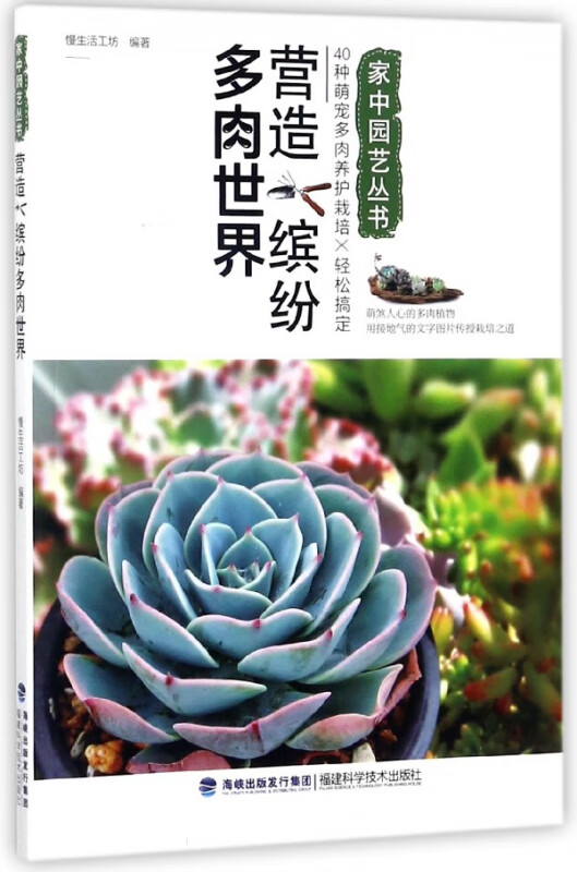营造缤纷多肉世界/家中园艺丛书