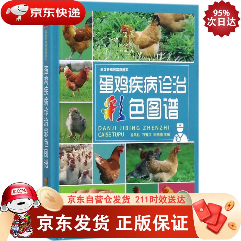 蛋鸡疾病诊治彩色图谱 机械工业出版社 9787111582502正版