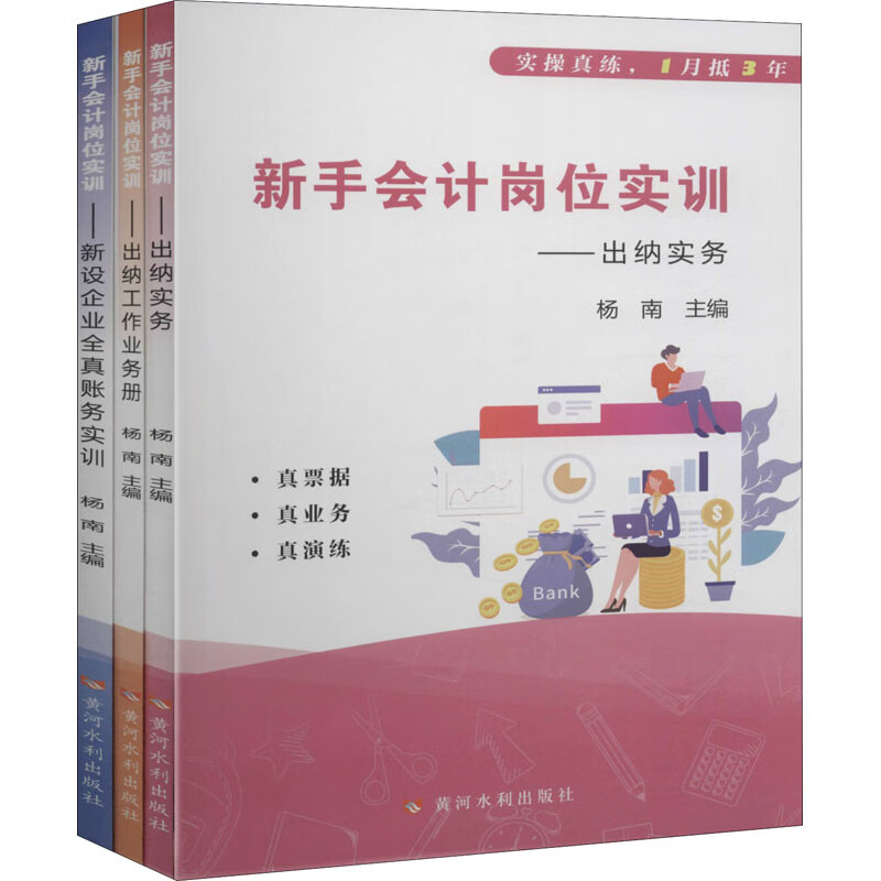 新手会计岗位实训(全3册)