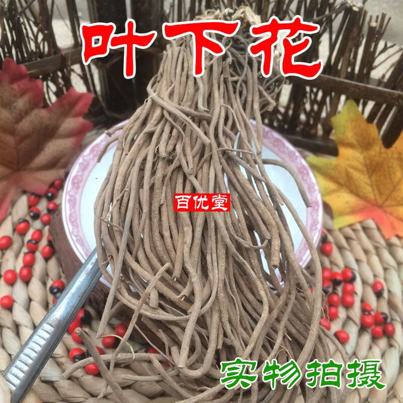 shxi中药材 叶下花 追风箭 100