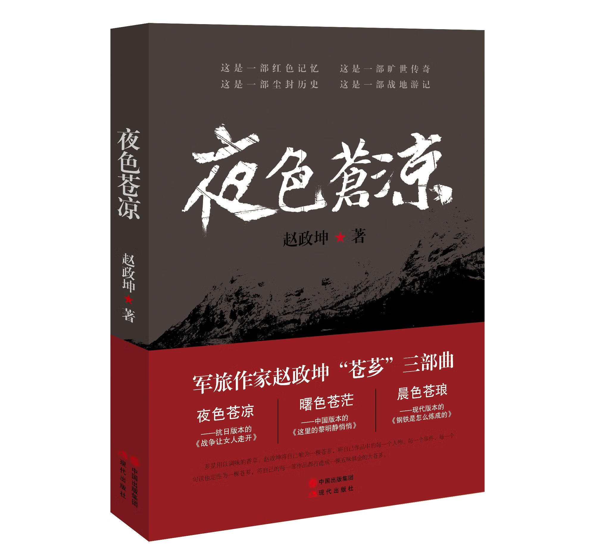 夜色苍凉 赵政坤 著【正版】