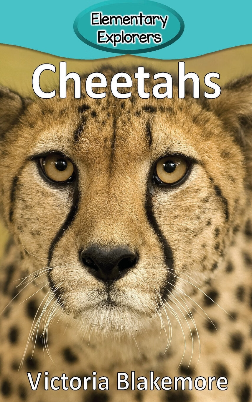 【预售 按需印刷】cheetahs