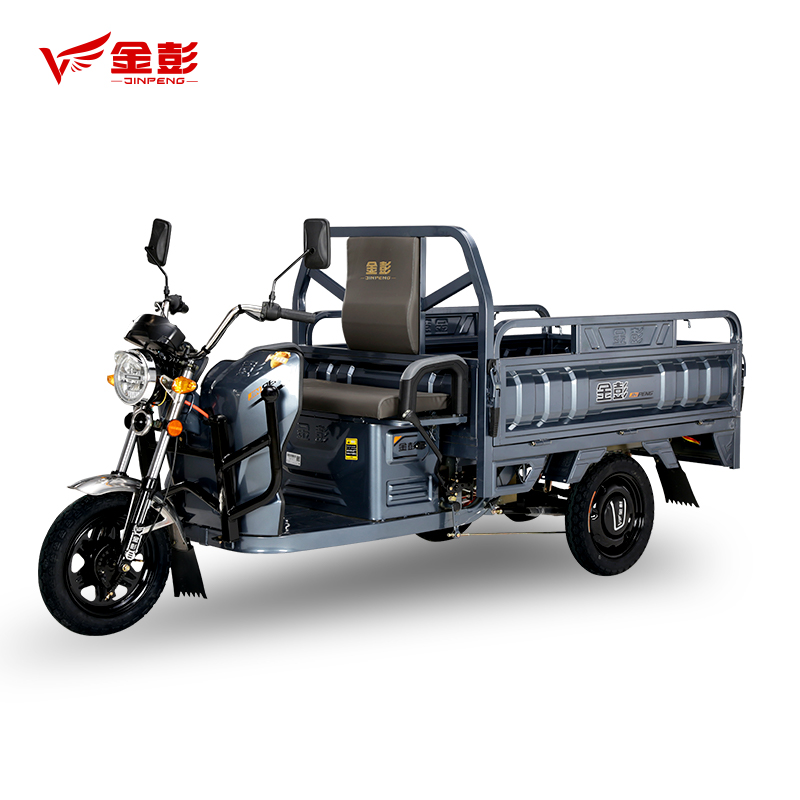 金彭电动三轮车 电动三轮摩托车货车电瓶车载货拉货运输车 裸车(无