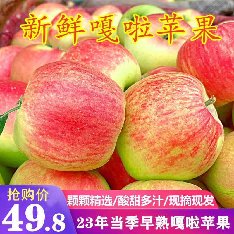 飘香果度 当季嘎啦苹果水果 酸甜爽口小苹果新鲜当季现摘 【净重8.5斤】65-70mm怎么样,好用不?