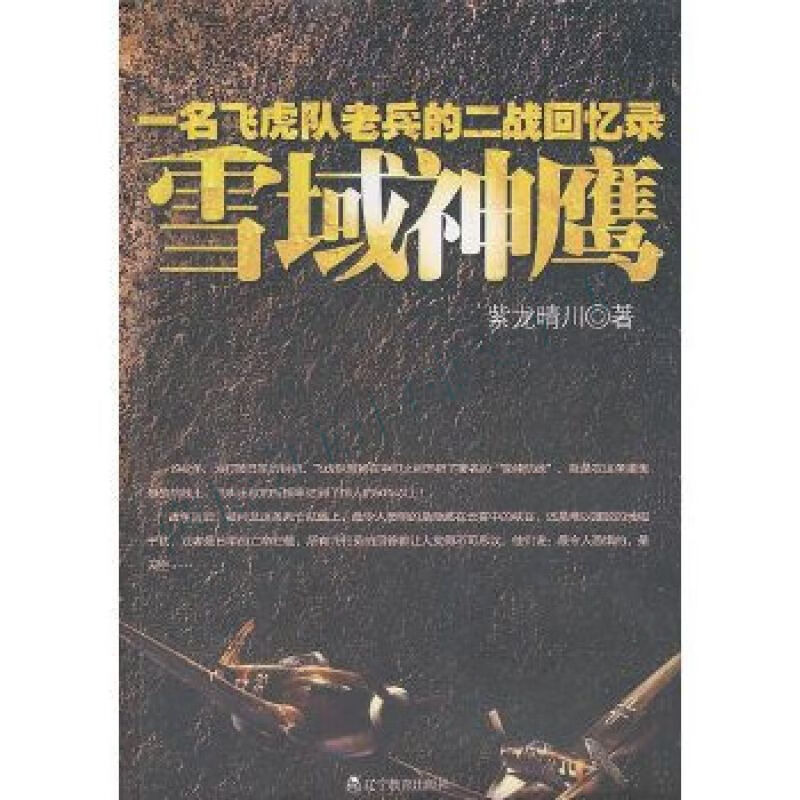 雪域神鹰:一名飞虎队老兵的二战回忆录