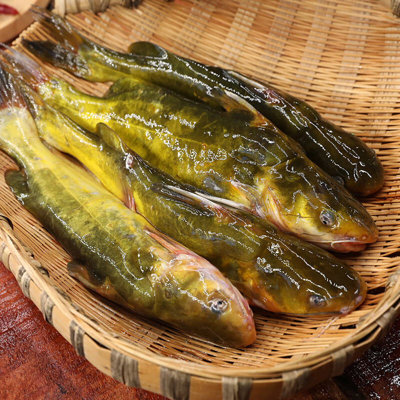 密之蓝天密云本地密云水库新鲜捕捞发货嘎鱼黄颡鱼黄腊丁2斤简装 简装