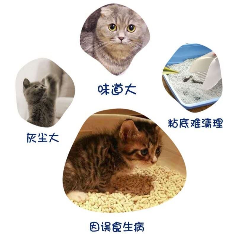 豆腐猫砂无尘除臭猫沙子无尘结团6L猫咪用品 绿茶6L（一包） 无套餐